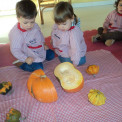 BIZCOCHO DE CALABAZA PARA LA MERIENDA DE CAPERUCITA ROJA