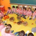 EL EMOCIONANTE OTOÑO DE LOS BÚHOS