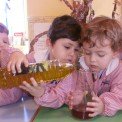 EXPERIMENTOS MÁGICOS. BURBUJITAS DE ACEITE